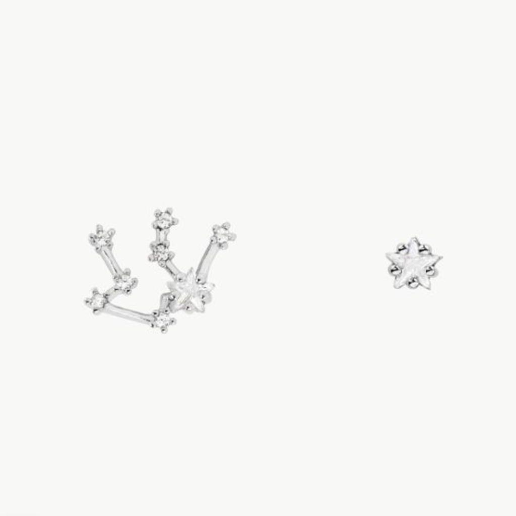 Aquarius Silver Zodiac Earrings (Y)